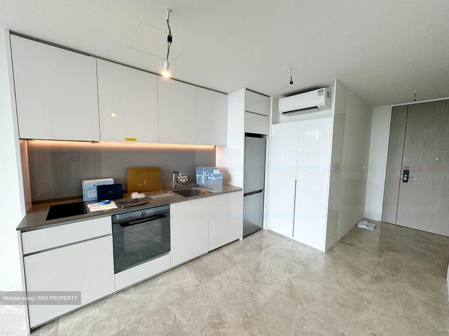 Amber Park (D15), Condominium #544388331